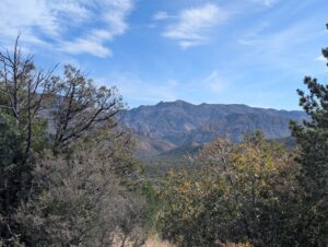 Chiricahua Mountains -- Cochise, AZ