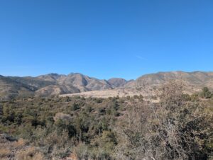 Chiricahua Mountains -- Cochise, AZ